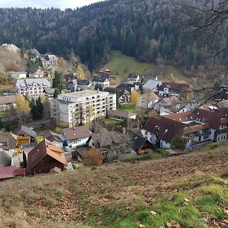 Ferienwohnung Todtmoos