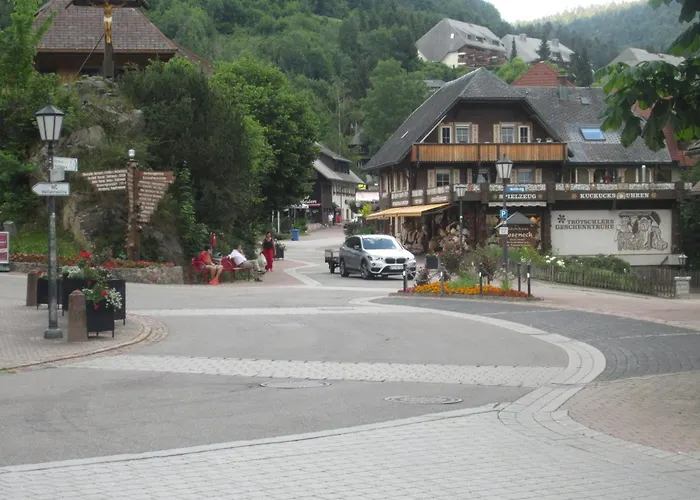 Apartment Ferienwohnung Todtmoos *