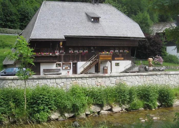 Ferienwohnung Todtmoos Apartment *